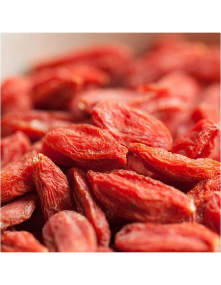 Baya de Goji Orgánica USDA OCM 227 g - Secas y Saludables