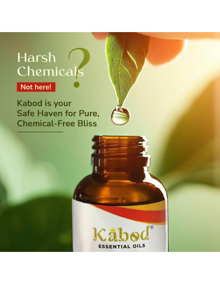 Aceite Esencial de Manzana Canela Kabod 10ml - Aromaterapia Aceite Esencial de Manzana Canela Kabod 10ml - Aromaterapia