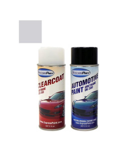 Aerosol pintura retoque ColorRite Pontiac Firebird 13/WA9566
