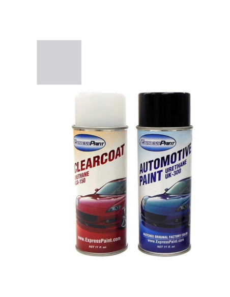 Aerosol pintura retoque ColorRite Pontiac Firebird 13/WA9566
