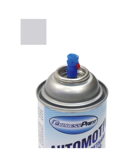 Aerosol pintura retoque ColorRite Pontiac Firebird 13/WA9566