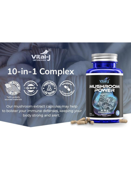 Suplemento Dietético Nootrópico Vital-J 60 Cápsulas Champiñones