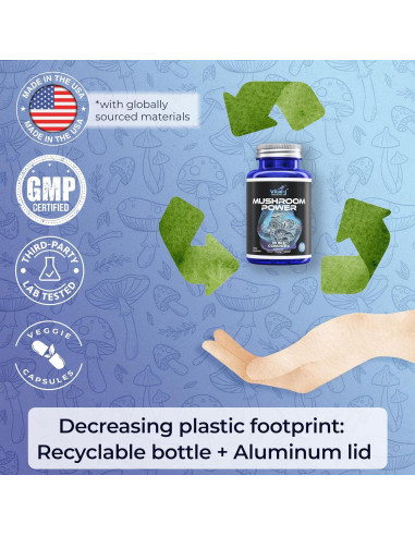 Suplemento Dietético Nootrópico Vital-J 60 Cápsulas Champiñones