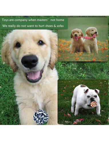 Set de Juguetes de Cuerda para Perros Pequeños Koyukuk 15 Piezas