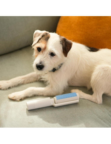 Eliminador de Pelo de Mascotas Flint 4-en-1 - Cepillo y Rodillo