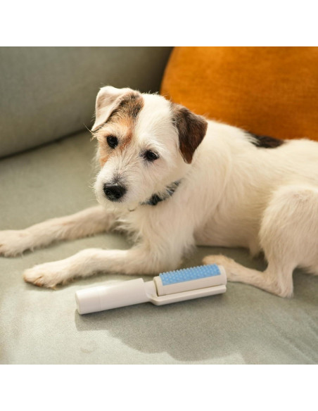 Eliminador de Pelo de Mascotas Flint 4-en-1 - Cepillo y Rodillo