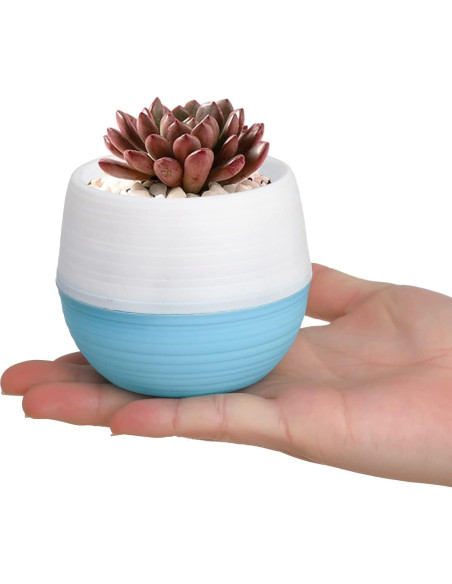 Elsjoy Paquete de 30 Macetas Mini Suculentas 7.62 cm Drenaje