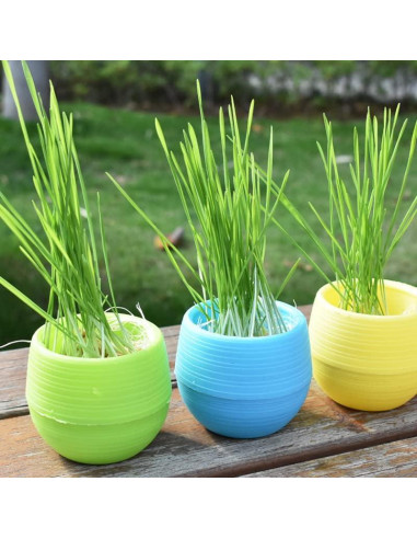 Elsjoy Paquete de 30 Macetas Mini Suculentas 7.62 cm Drenaje