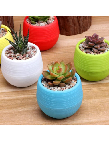 Elsjoy Paquete de 30 Macetas Mini Suculentas 7.62 cm Drenaje