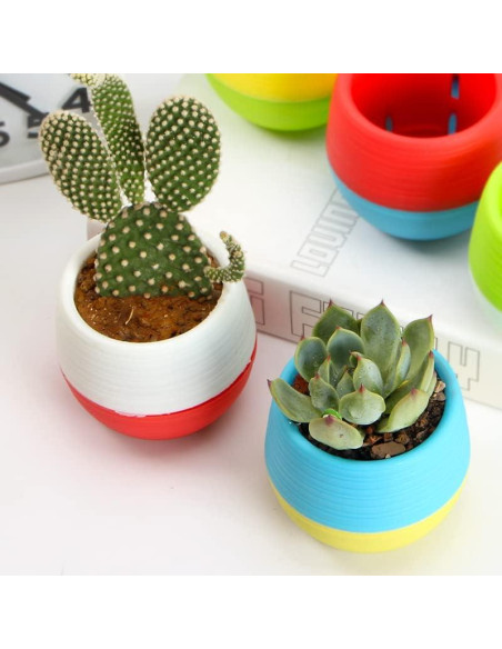 Elsjoy Paquete de 30 Macetas Mini Suculentas 7.62 cm Drenaje