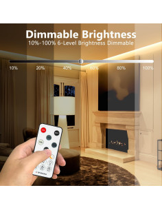 Tira de luz LED COB 10m 3000K regulable con control remoto 2