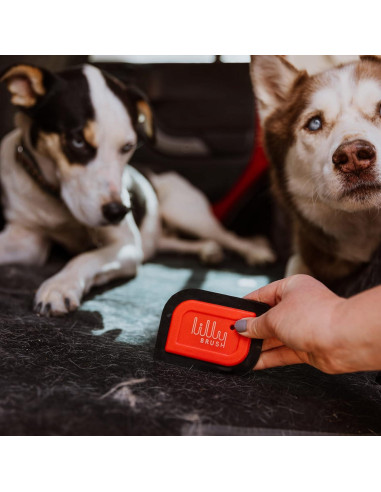 Lilly Brush Mini Removedor de Pelo de Mascotas 7.6cm