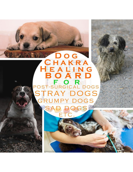 Tablero de Sanación de Chakras para Perros PapaLegba 20x30cm