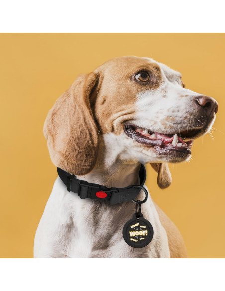 Etiqueta de Identificación para Perro NexaPaw QR Acero Inoxidable