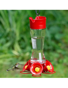 Alimentador de Colibríes Perky-Pet 204CP-4 Vidrio 473 ml 2