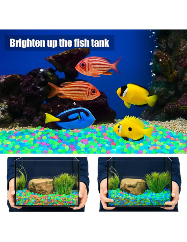 12000 Rocas Coloridas que Brillan en la Oscuridad TREEHAC