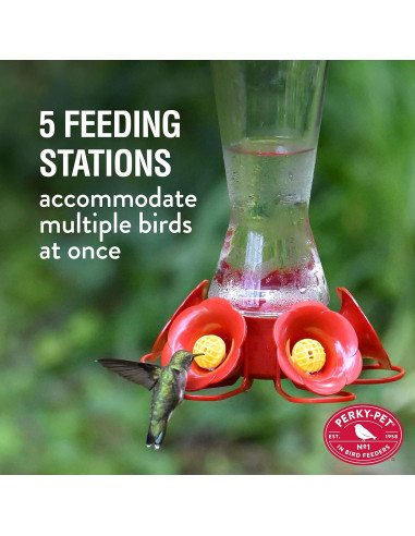 Alimentador de Colibríes Perky-Pet 204CP-4 Vidrio 473 ml