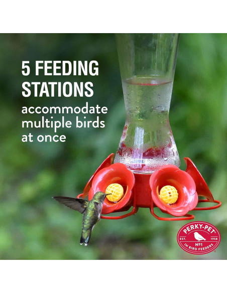 Alimentador de Colibríes Perky-Pet 204CP-4 Vidrio 473 ml