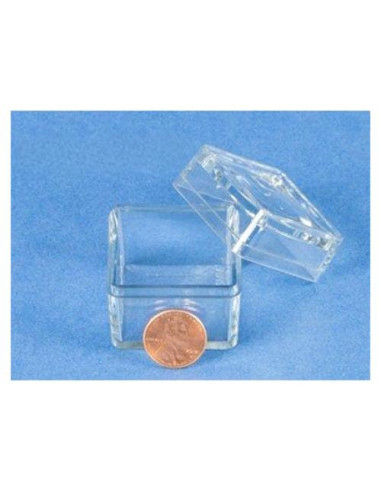 Cajas para Insectos Nature-Watch 3.81 cm con Tapa Magnificante - Paquete de 10