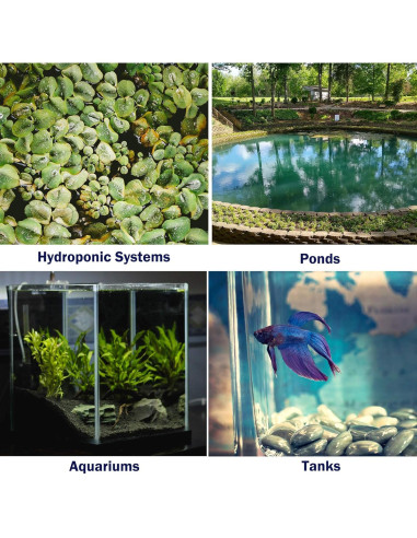 Disco Difusor de Aire 10 cm con 12 Ventosas para Acuario