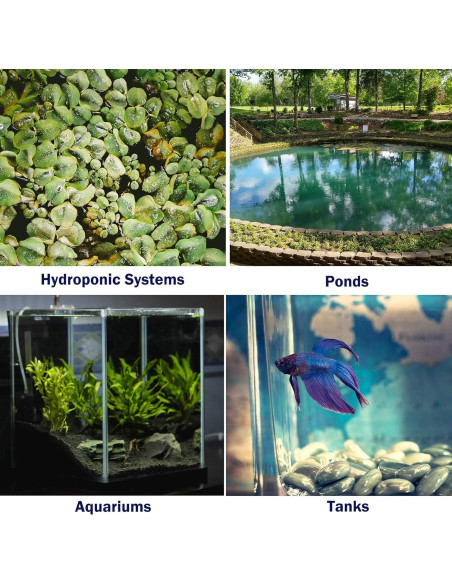 Disco Difusor de Aire 10 cm con 12 Ventosas para Acuario