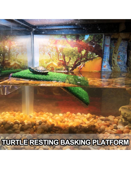 2 Plataformas de Sol para Tortugas Anranmm - Rampa Escalada Verde