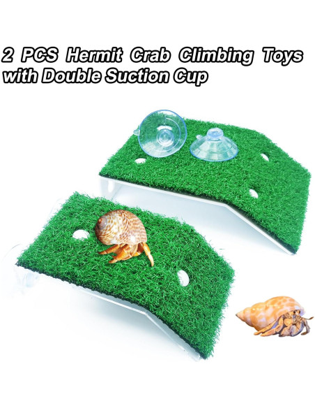 2 Plataformas de Sol para Tortugas Anranmm - Rampa Escalada Verde