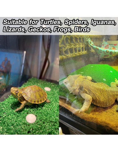 2 Plataformas de Sol para Tortugas Anranmm - Rampa Escalada Verde