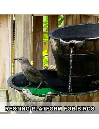 2 Plataformas de Sol para Tortugas Anranmm - Rampa Escalada Verde