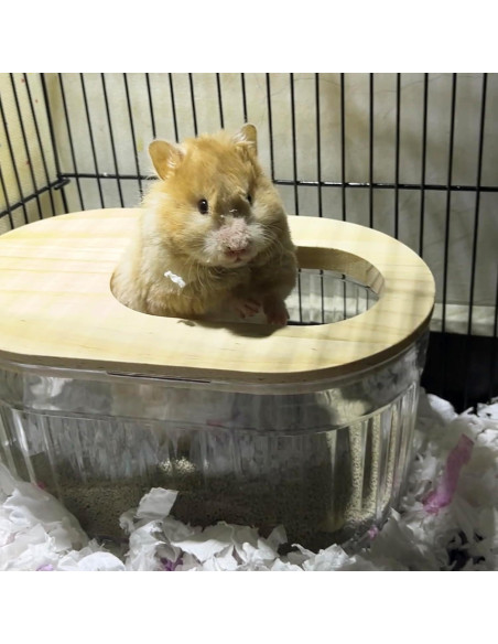 Contenedor de Baño de Arena FiboPawer Ovalado para Hámster