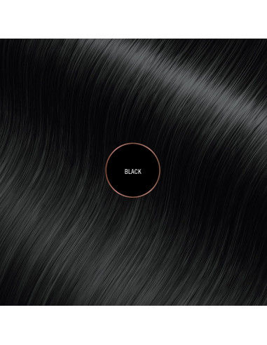 Everpro Gray Away Retoque Raíces Negro 2.83 g Sin Químicos