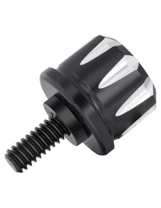 Tornillo de Asiento Negro Amazicha de Acero Inoxidable 1/4"-20