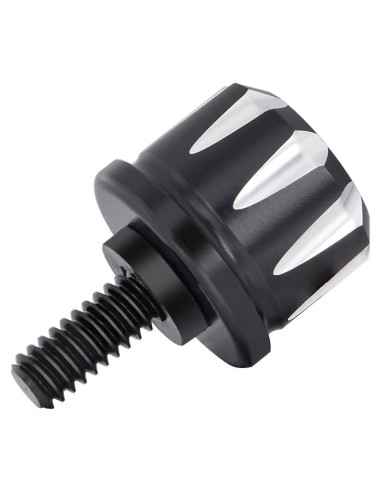 Tornillo de Asiento Negro Amazicha de Acero Inoxidable 1/4"-20