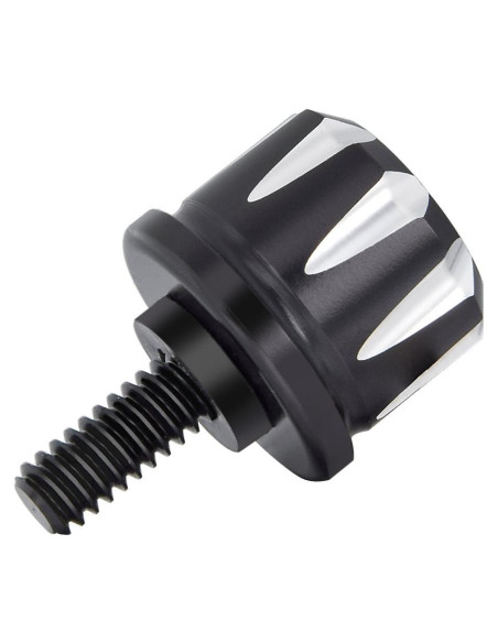 Tornillo de Asiento Negro Amazicha de Acero Inoxidable 1/4"-20