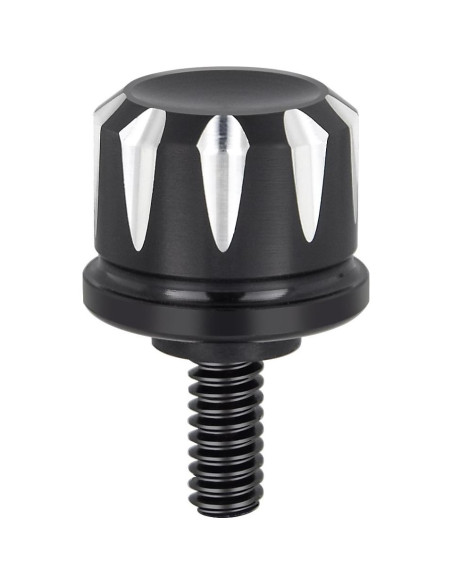 Tornillo de Asiento Negro Amazicha de Acero Inoxidable 1/4"-20