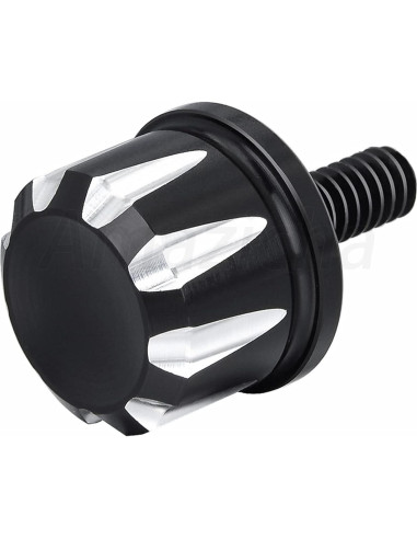 Tornillo de Asiento Negro Amazicha de Acero Inoxidable 1/4"-20