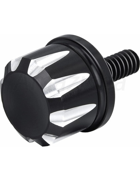 Tornillo de Asiento Negro Amazicha de Acero Inoxidable 1/4"-20