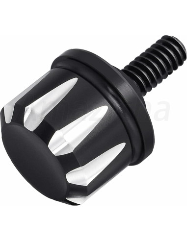 Tornillo de Asiento Negro Amazicha de Acero Inoxidable 1/4"-20