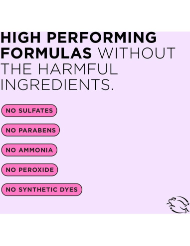 Everpro Gray Away Retoque Raíces Negro 2.83 g Sin Químicos