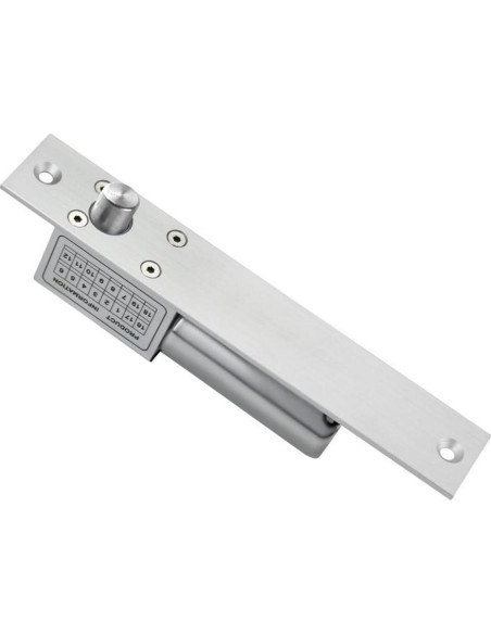 Cerradura Eléctrica WITPOCE LIBO L-2CWS 12V Modo NC