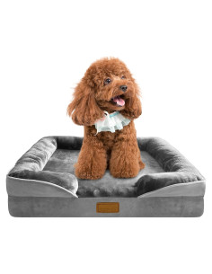 Cama Ortopédica para Perros Spotted Play - 60x45cm, Gris