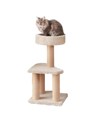 Árbol para Gatos Amazon Basics Mediano 80 cm con Postes para Rascar