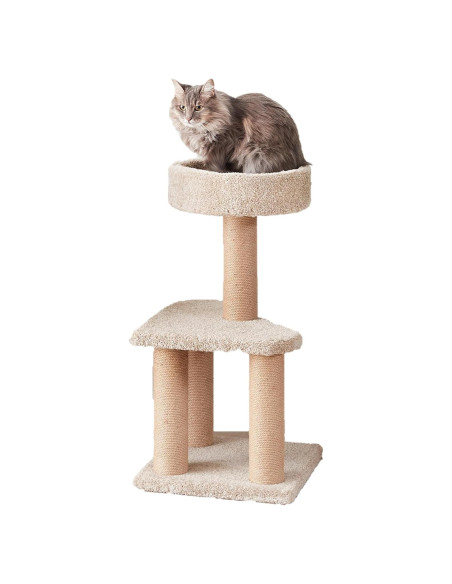Árbol para Gatos Amazon Basics Mediano 80 cm con Postes para Rascar