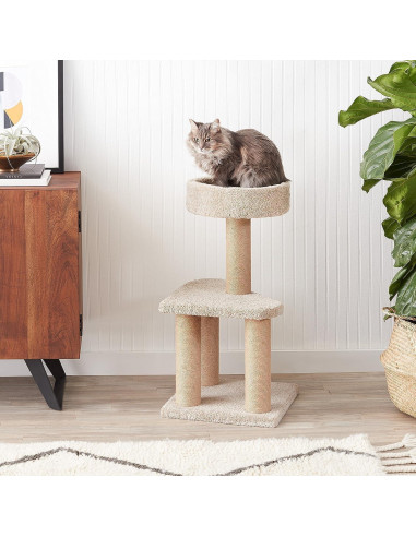 Árbol para Gatos Amazon Basics Mediano 80 cm con Postes para Rascar