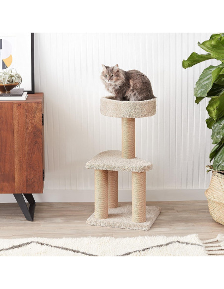 Árbol para Gatos Amazon Basics Mediano 80 cm con Postes para Rascar