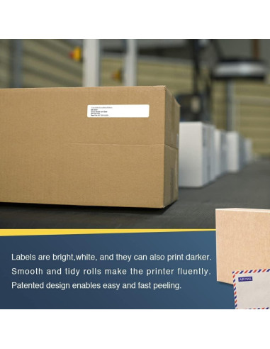 Etiquetas de Carpeta BETCKEY DK-1203 - 20 Rollos 6000 Etiquetas