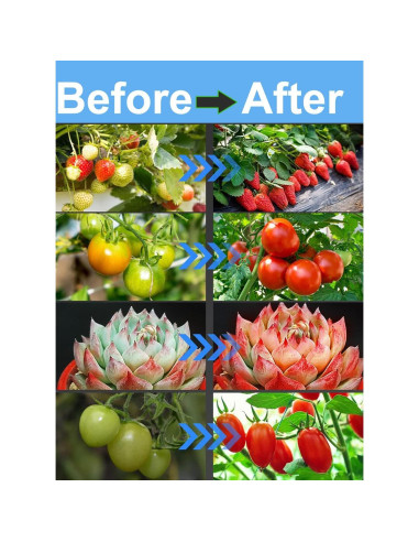 Kit Completo Carpa de Cultivo iMeshbean 61x61x140cm LED 38W