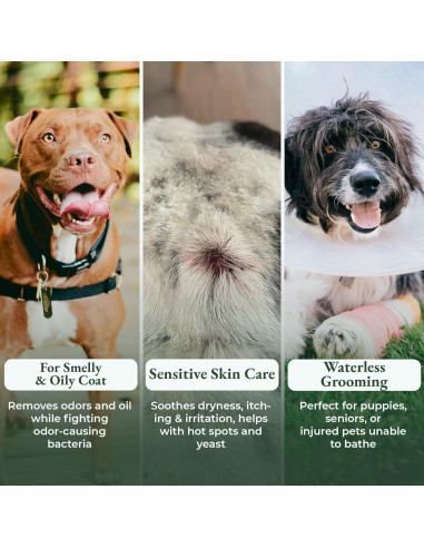 Champú Seco para Perros Shelterbaby - Alivio Picazón y Alergias