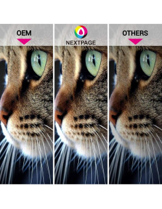 Cartuchos de tinta cian NEXTPAGE CLI-281XXL 3 Pack 2