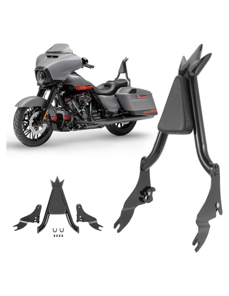 Sissy Bar Desmontable Drytuns para Harley Touring 2009-2024